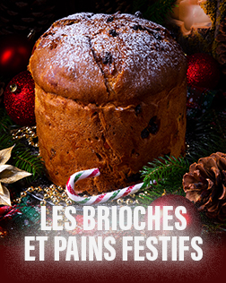 Les brioches et pains festifs
