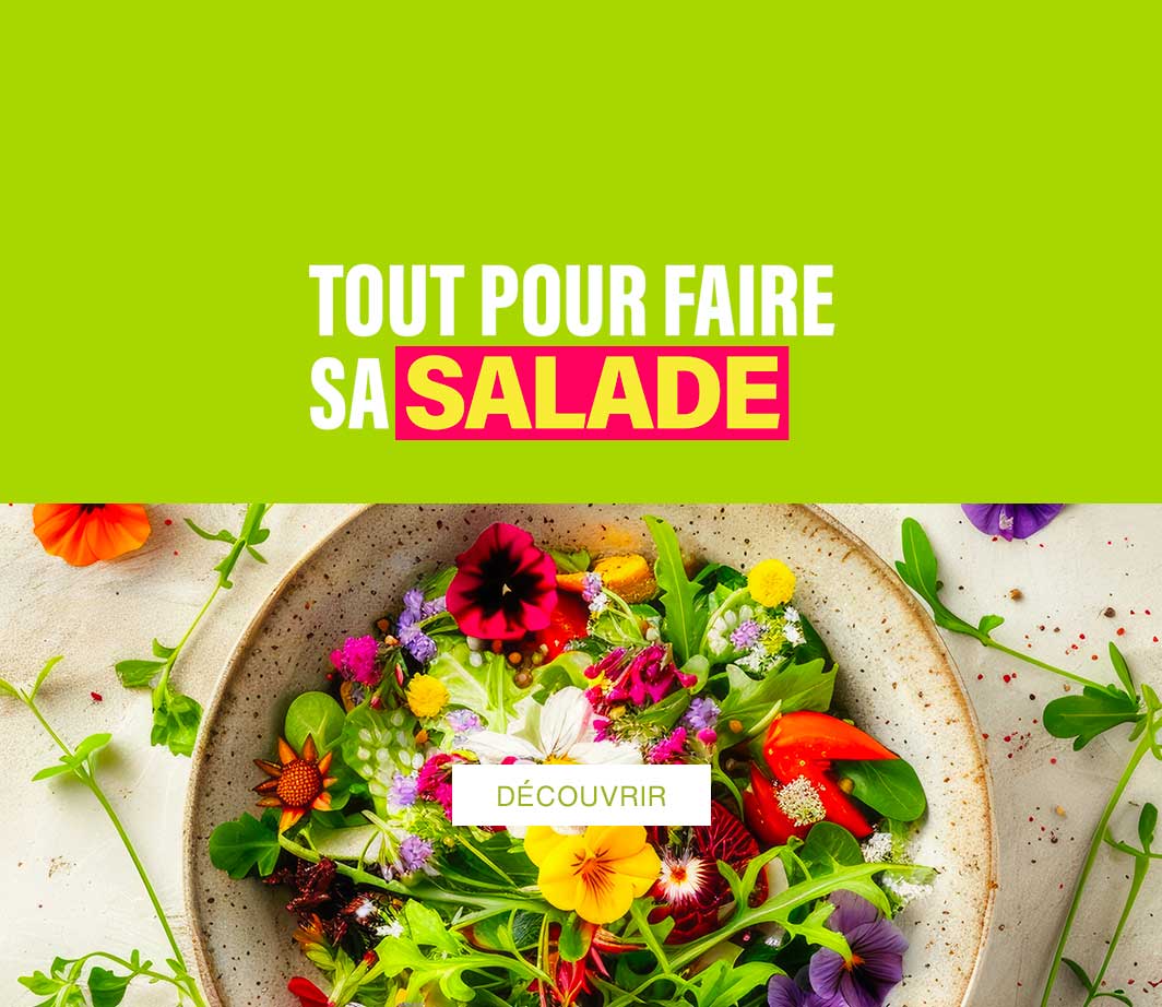 Encart sélection: Tout pour faire sa Salade 2024