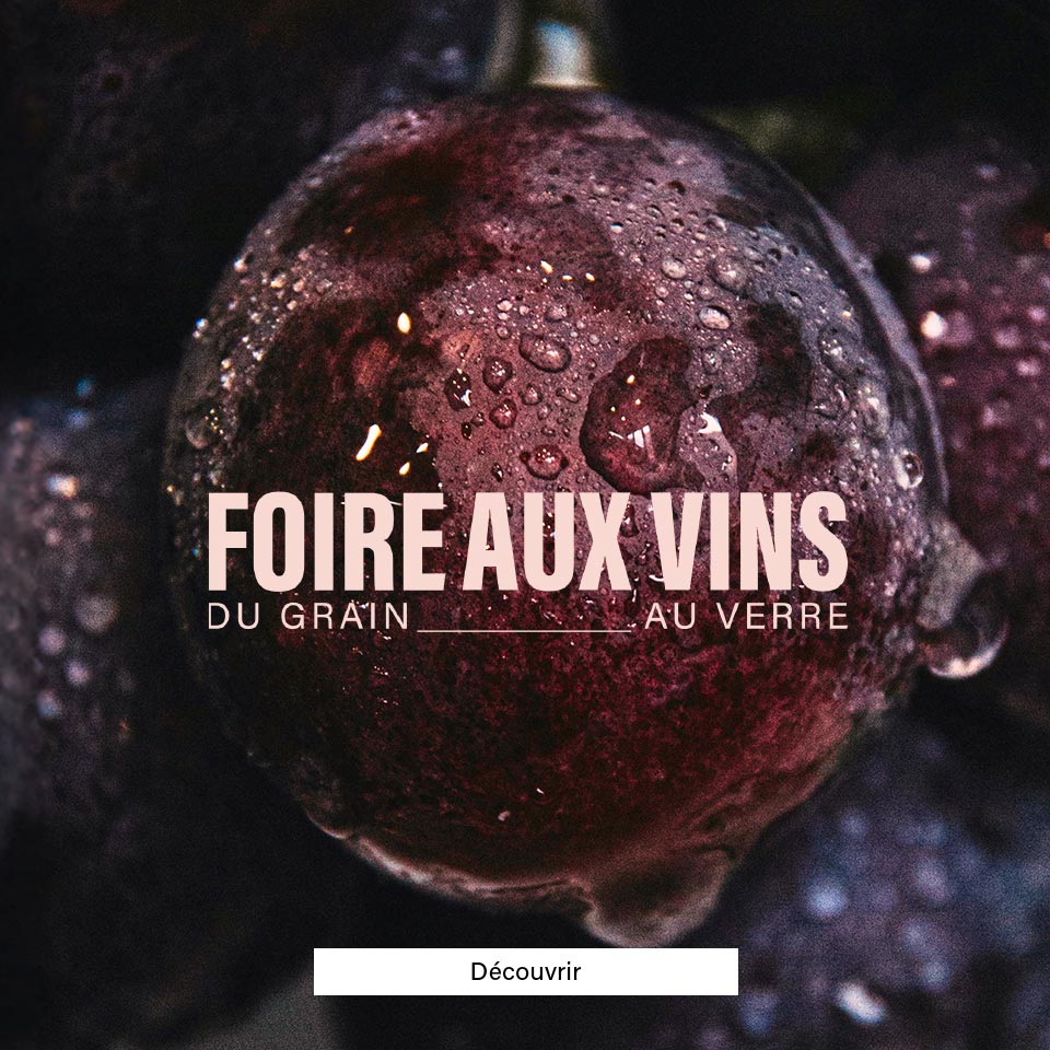 FOIRE AUX VINS (LP) bannière PROMO