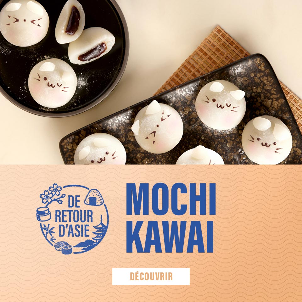 Encart Mochi