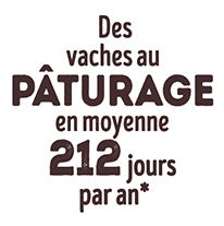 Des vaches au Pâturage en moyenne 212 jours par an*