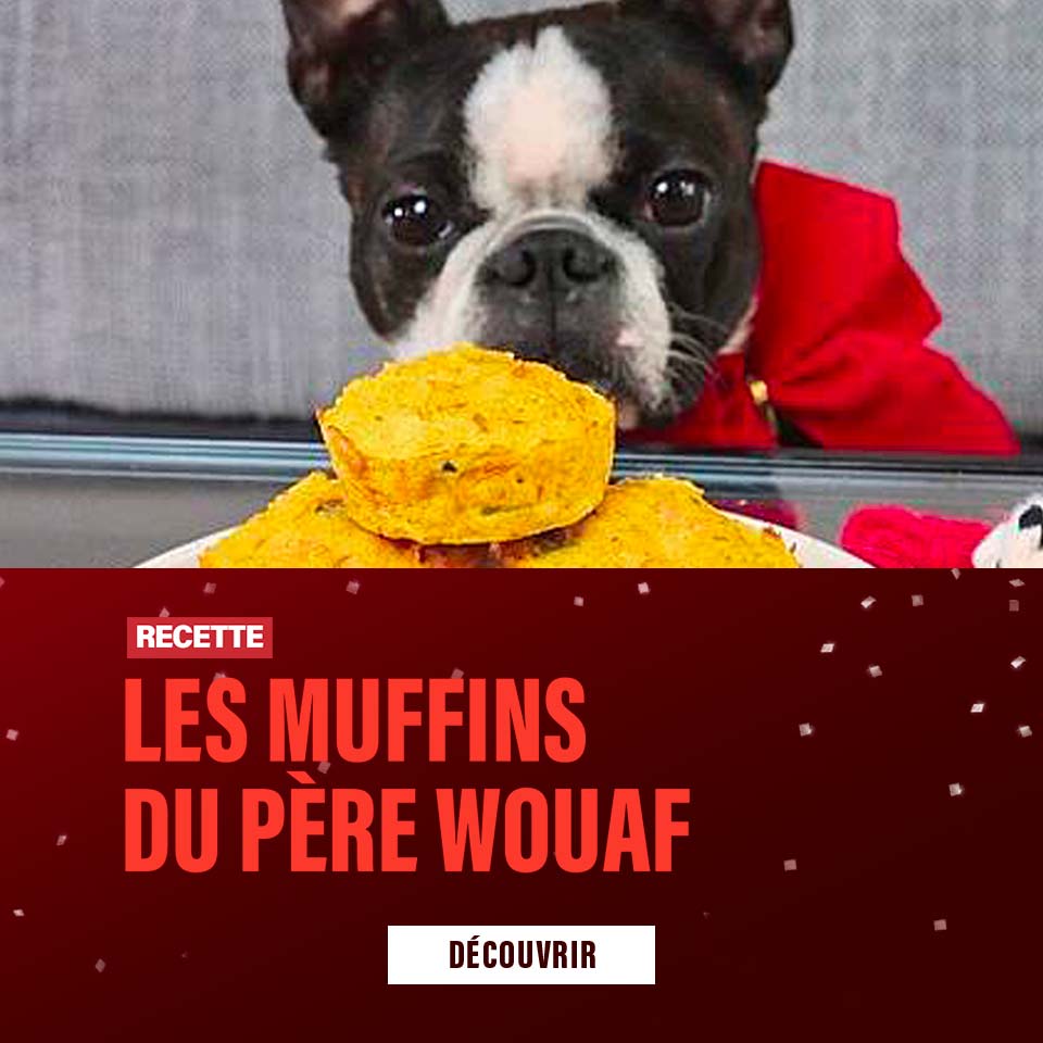 Recette Les mini muffins du père Wouaf