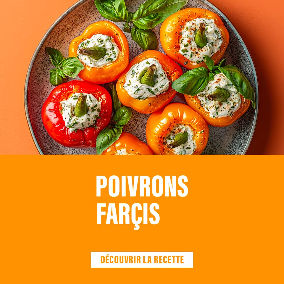 Encart poivrons farcis