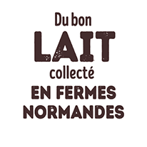 Du bon lait collecté en fermes Normandes