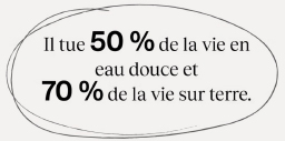 Il tue 50% de la vie en eau douce et 70% de la vie sur terre.