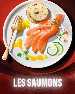 Les saumons