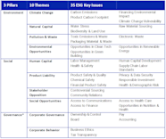 Esg Risk Matrix