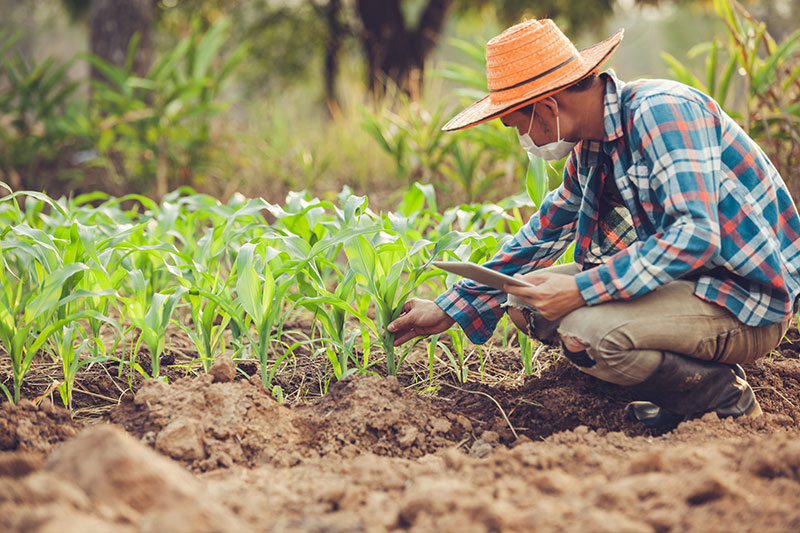 AGRICULTURE INDUSTRY