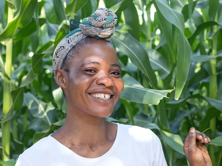 HFH-02022024-LP-1035-TFI-4x3-1328x996