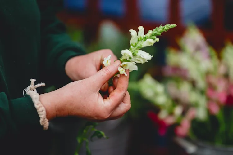 A hand preparing flowers for an arrangement