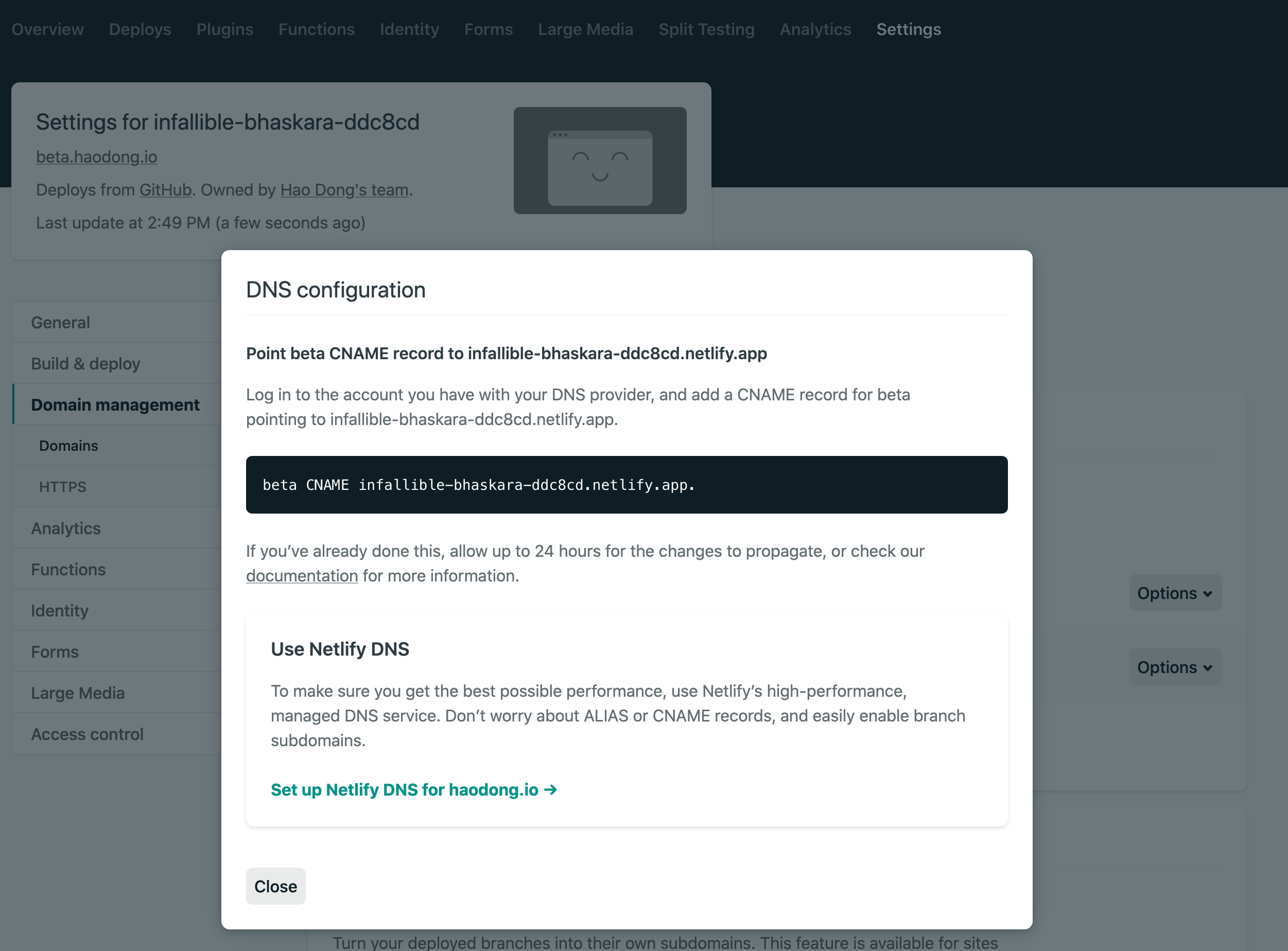 Netlify DNS configuration