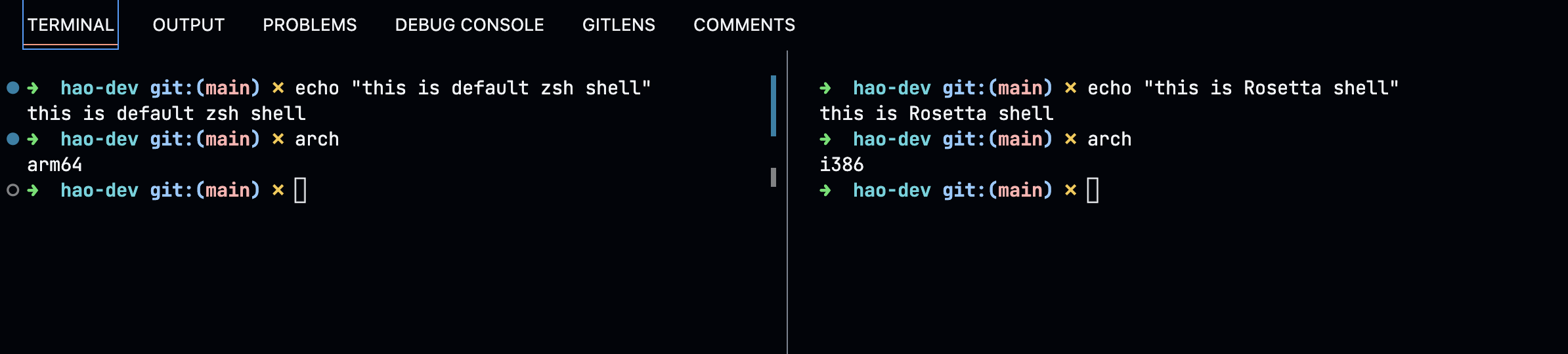 zsh and rosetta shells