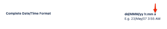 The required date/time format is dd/MMM/yy h:mm a, with an example of 23/May/07 3:55 AM.  A red arrow points to the format.