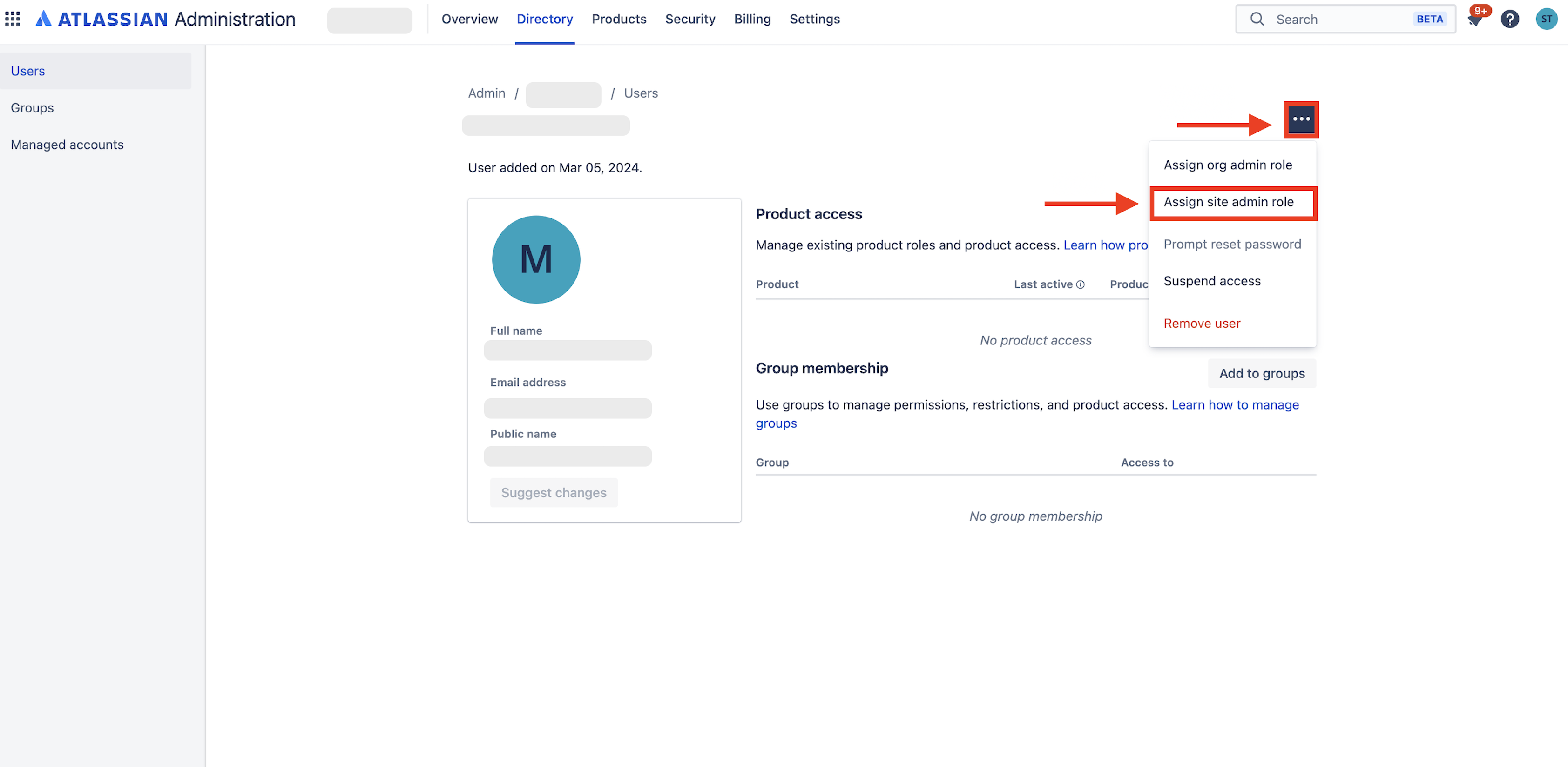 When looking at a user's site account profile, it is possible to make the user a site admin by clicking ... > 'Assign site admin role'