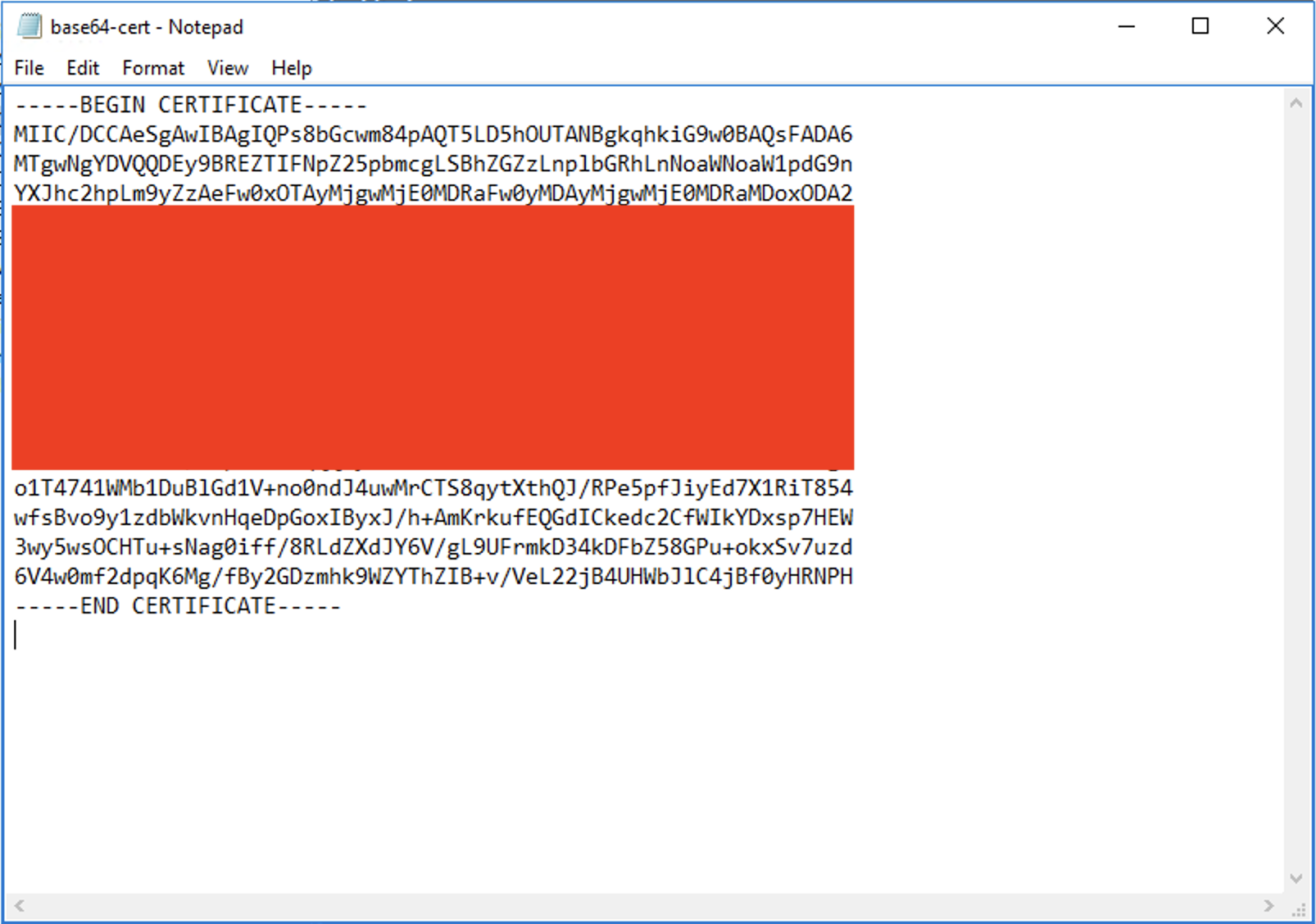 Screenshot of base64-cert in Notepad