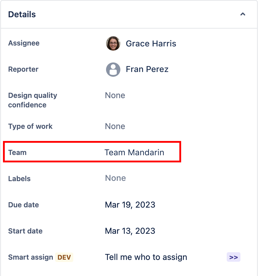 Jira issue description showing the team field with a team assigned.