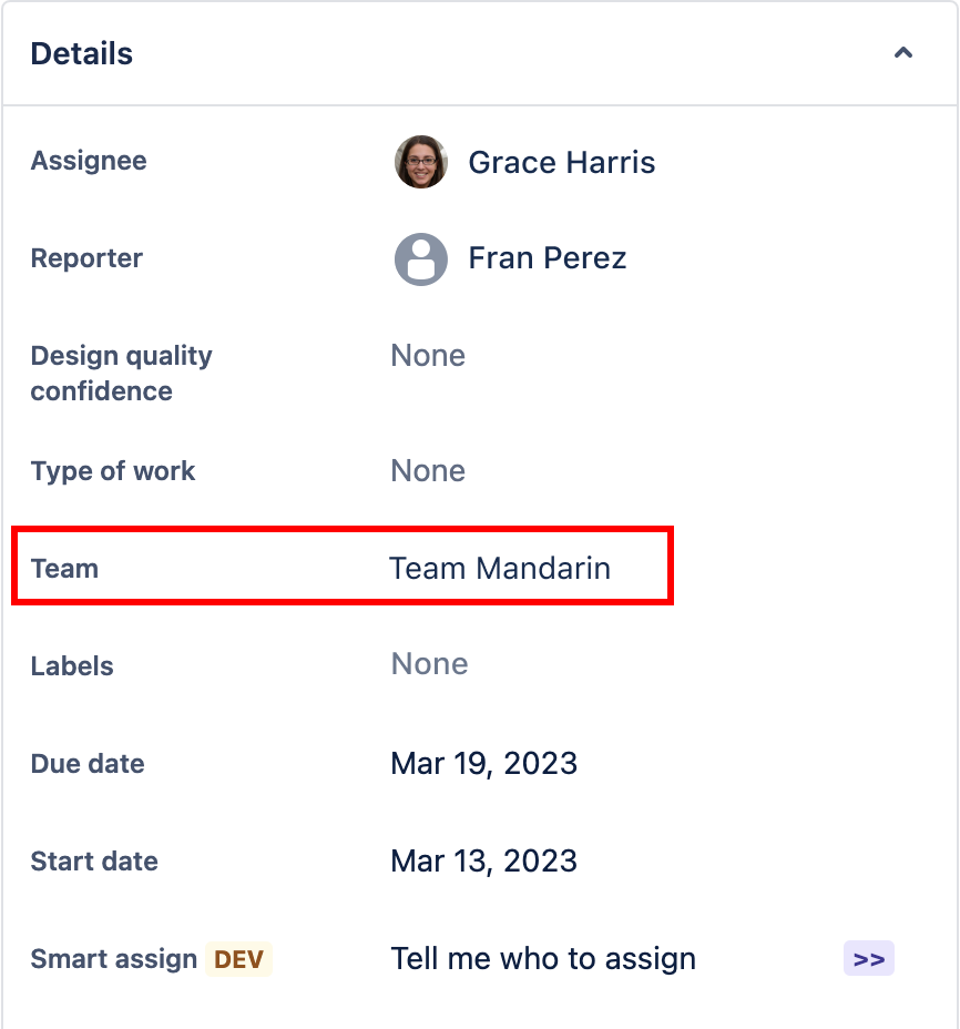 Team フィールドと割り当てられたチームを示す Jira 課題の説明