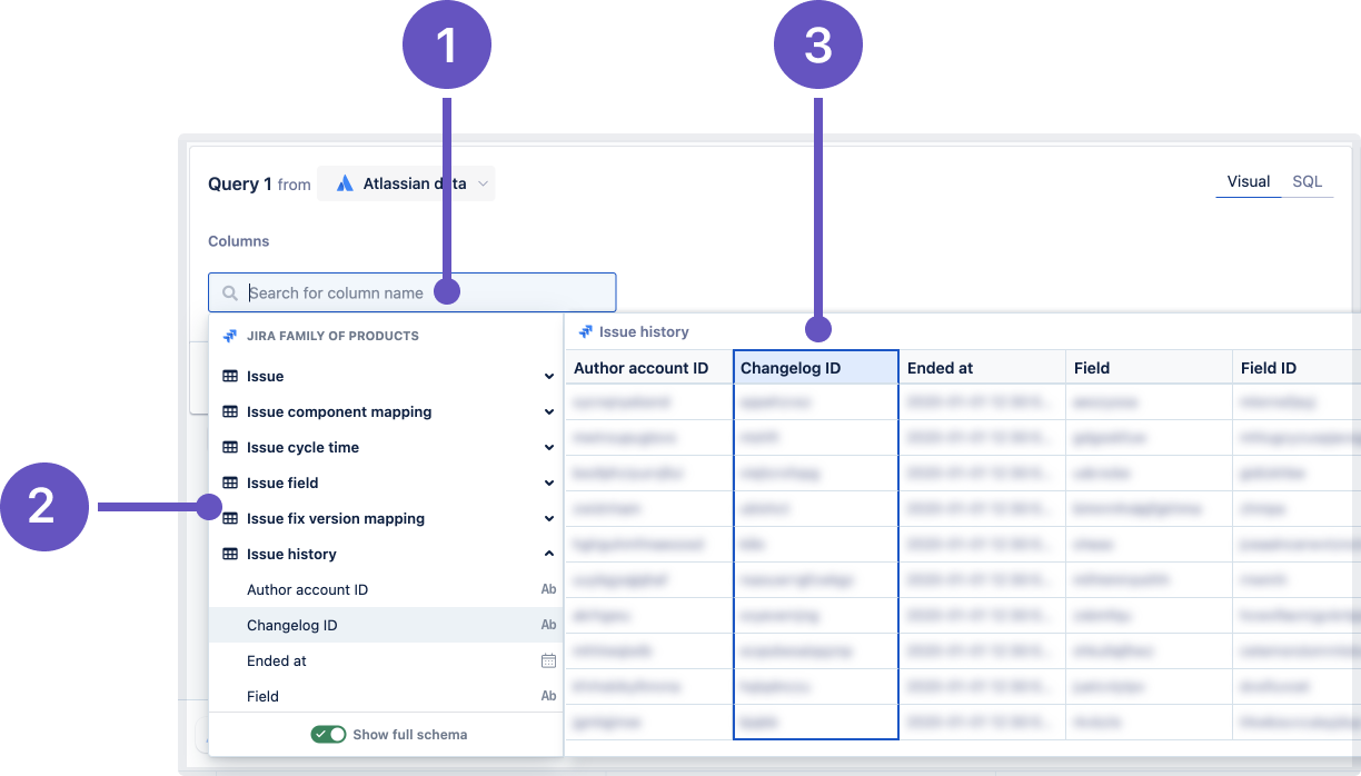 Areas in the schema browser you can select to add a column to a visual mode query