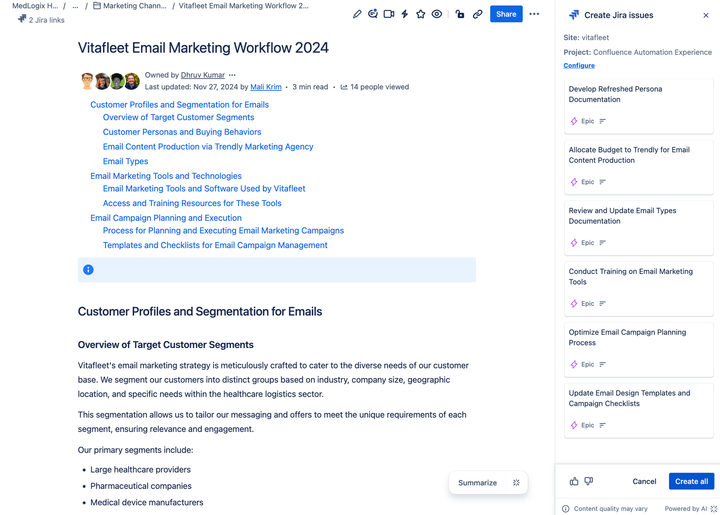 The right panel is open over a page titled "Vitafleet Email Marketing Workflow" and several issues are listed.