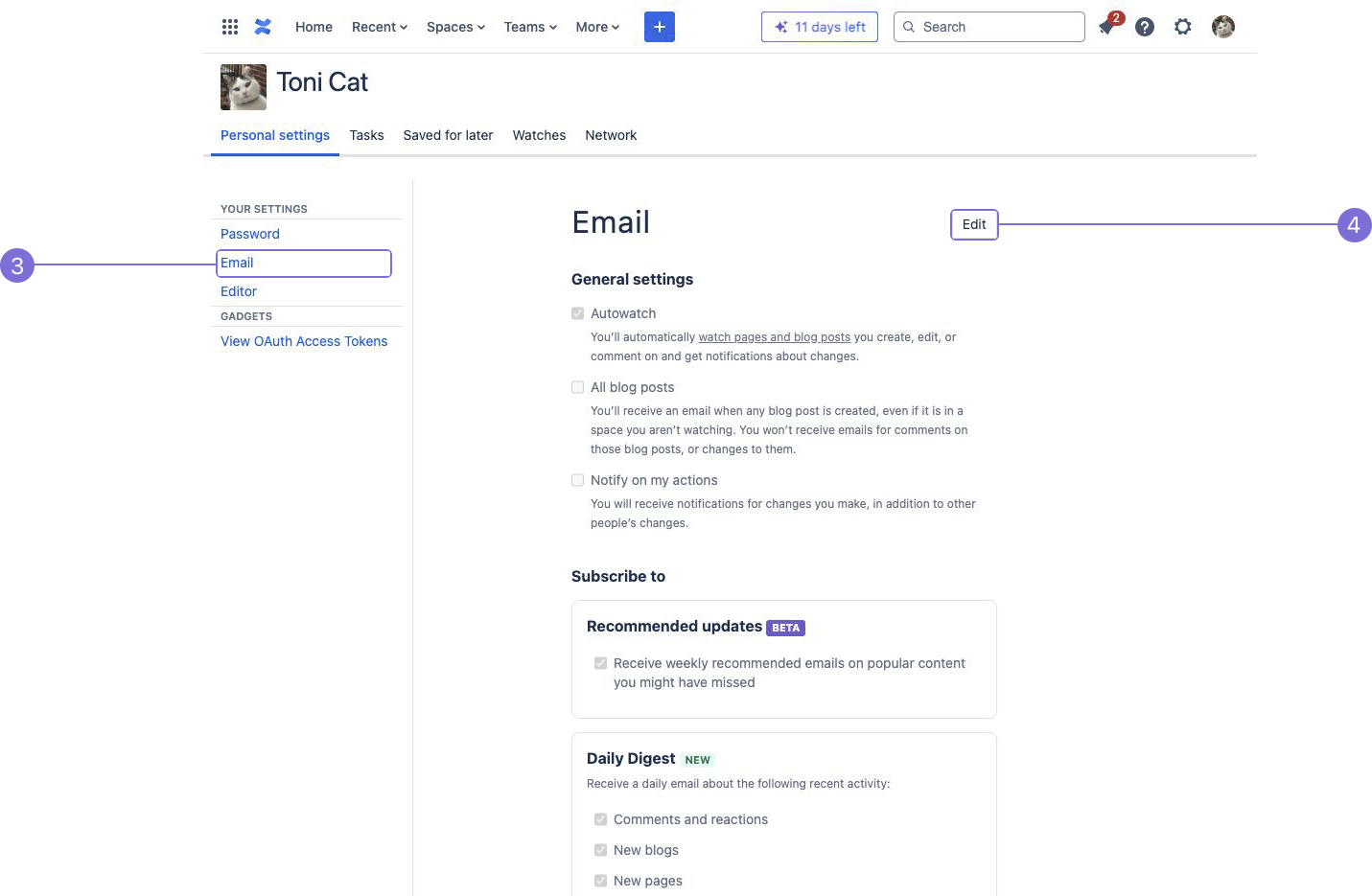 Confluence メール設定の [個人設定] タブ。選択/選択解除するための多数のオプションが表示されます。