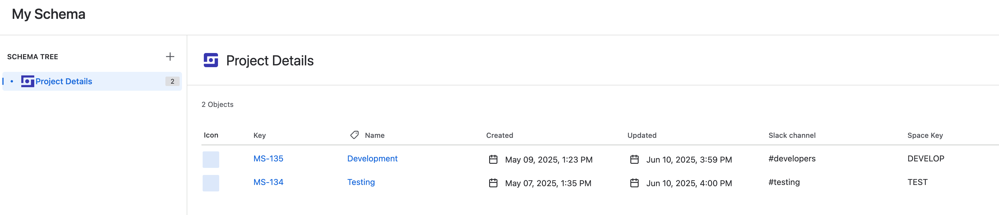Screenshot of example Assets schema with two objects