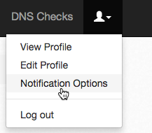 DNS 通知オプション