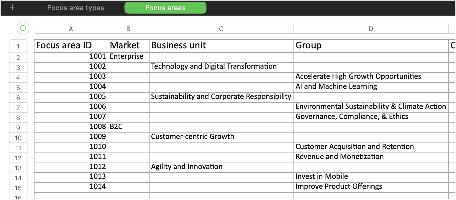 Example spreadsheet with focus area names in the type columns