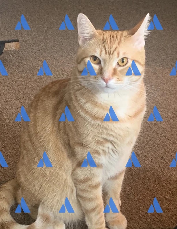 A sample image with an Atlassian logo image watermark.