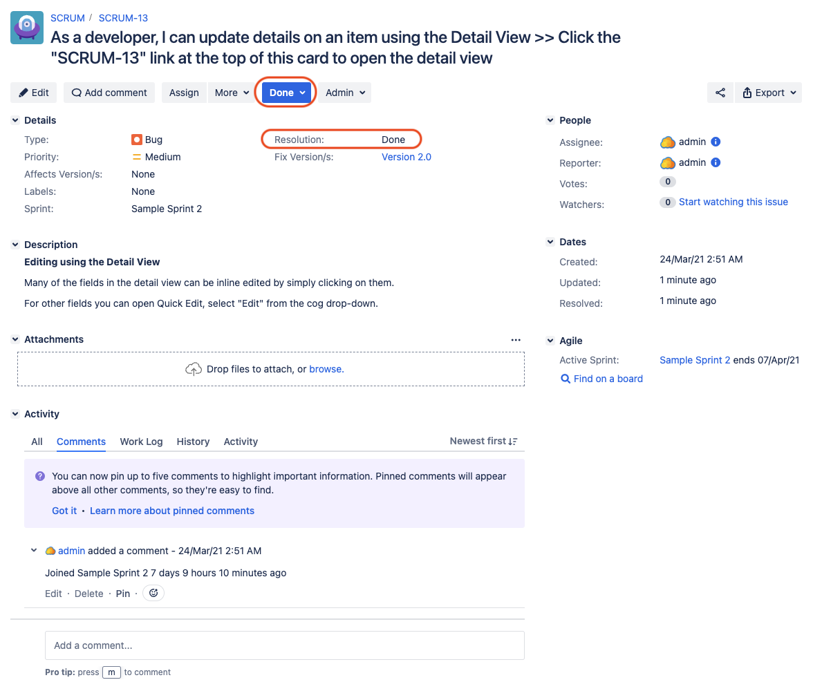 View Issue page, displaying an example Bug in status DONE. The issue status is displayed in Blue, the resolution field has been set to DONE