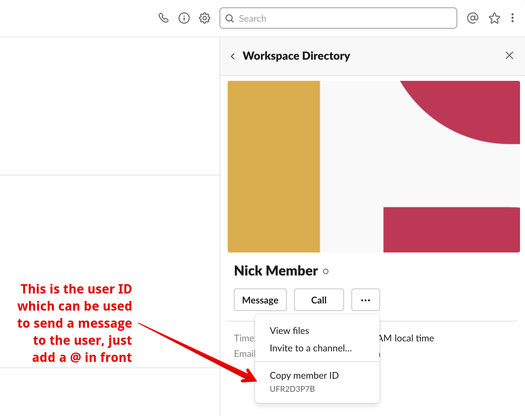 Member ID in slack