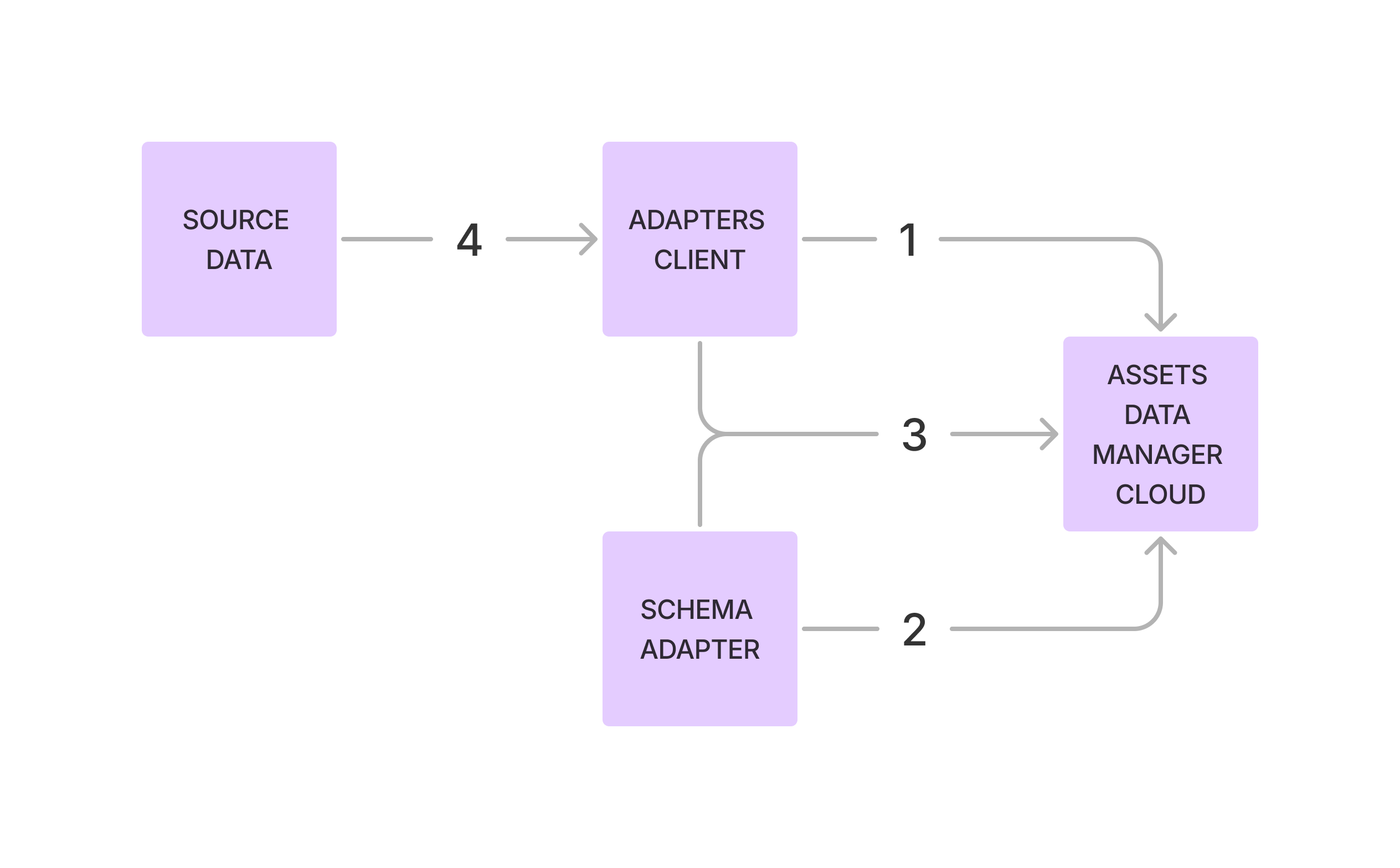 Diagram showing how Data Manager connects to local networks