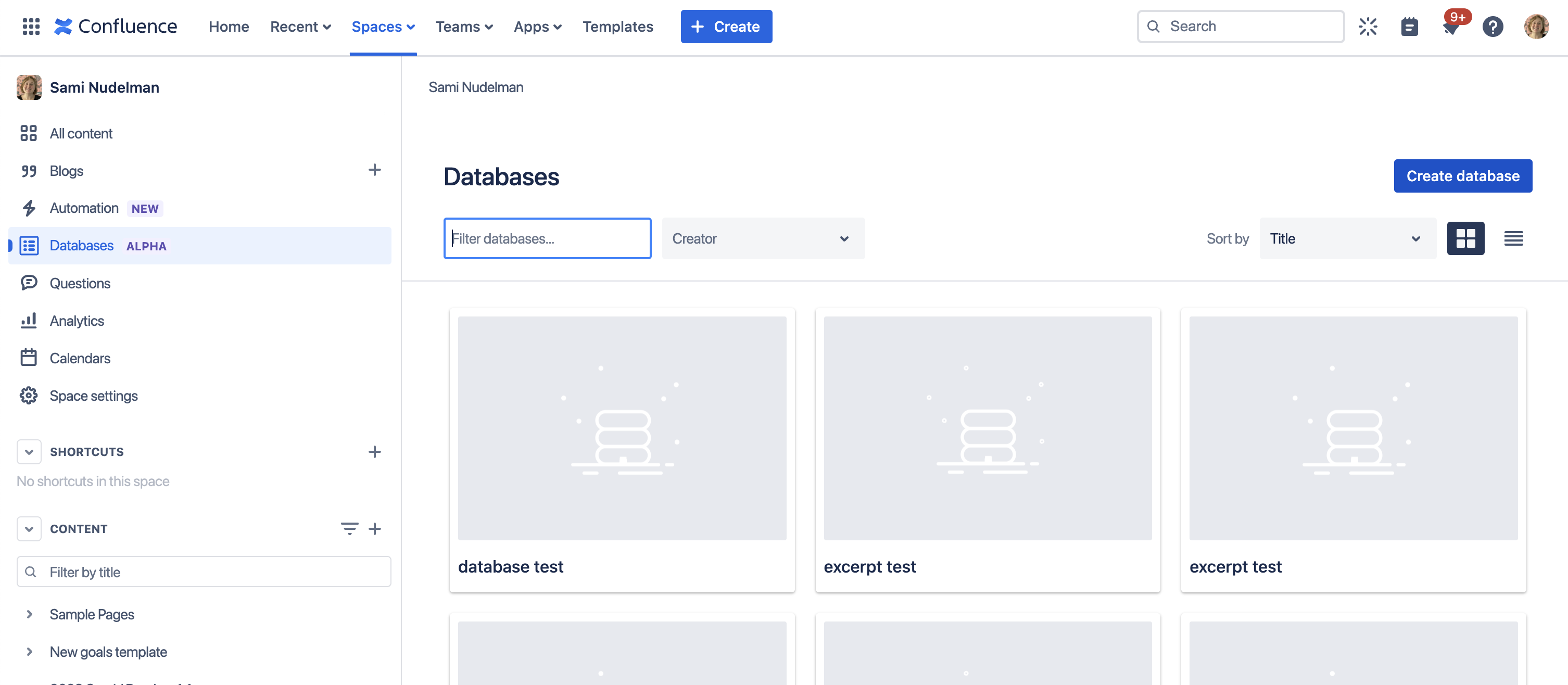 The database tab in Confluence with databases