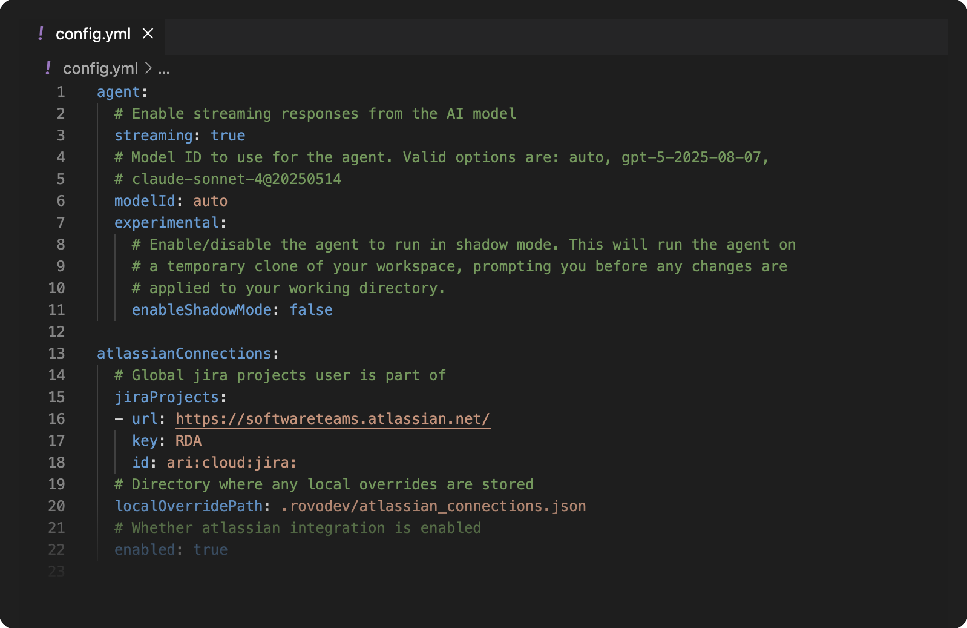 Rovo Dev CLI configuration file contains multiple parameters