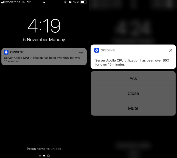 Ring app adds support for iOS's Critical Alerts feature