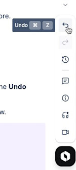 The undo option from the action bar.