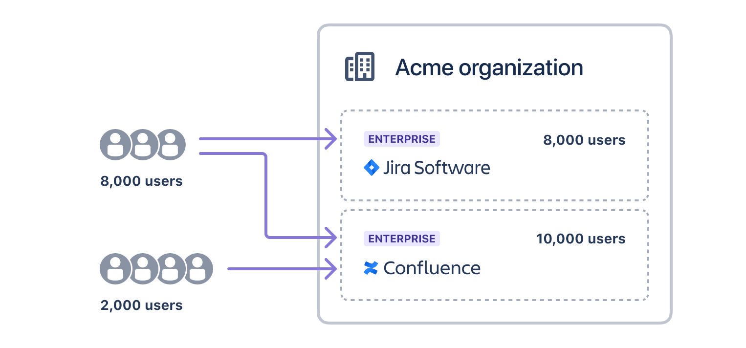 例: ユーザーが 2 つの異なる Enterprise 請求書でどのようにカバーされるかを示す Acme 組織