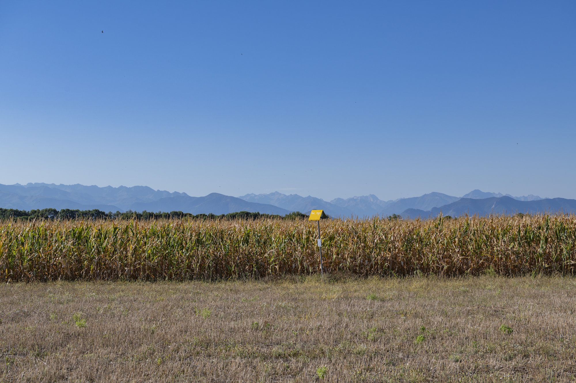 Panorama des gaz renouvelables et bas carbone en 2025