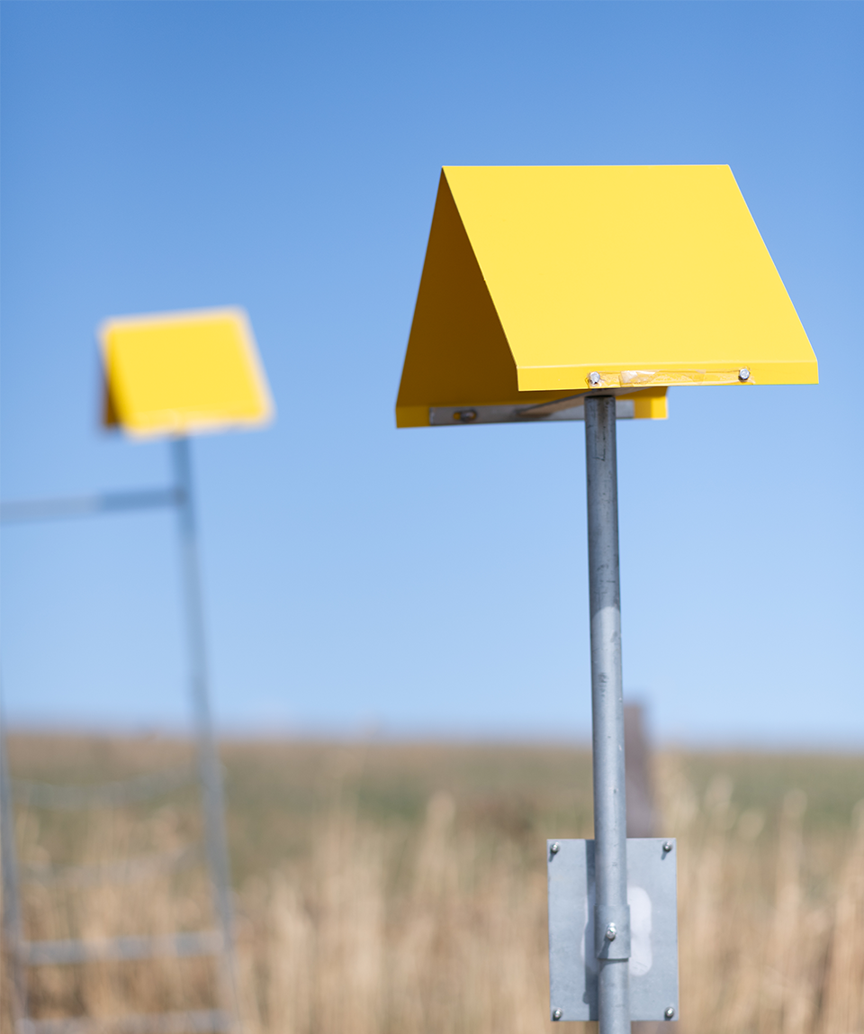 Gas market: How can the increase in gas prices in 2021 be explained?