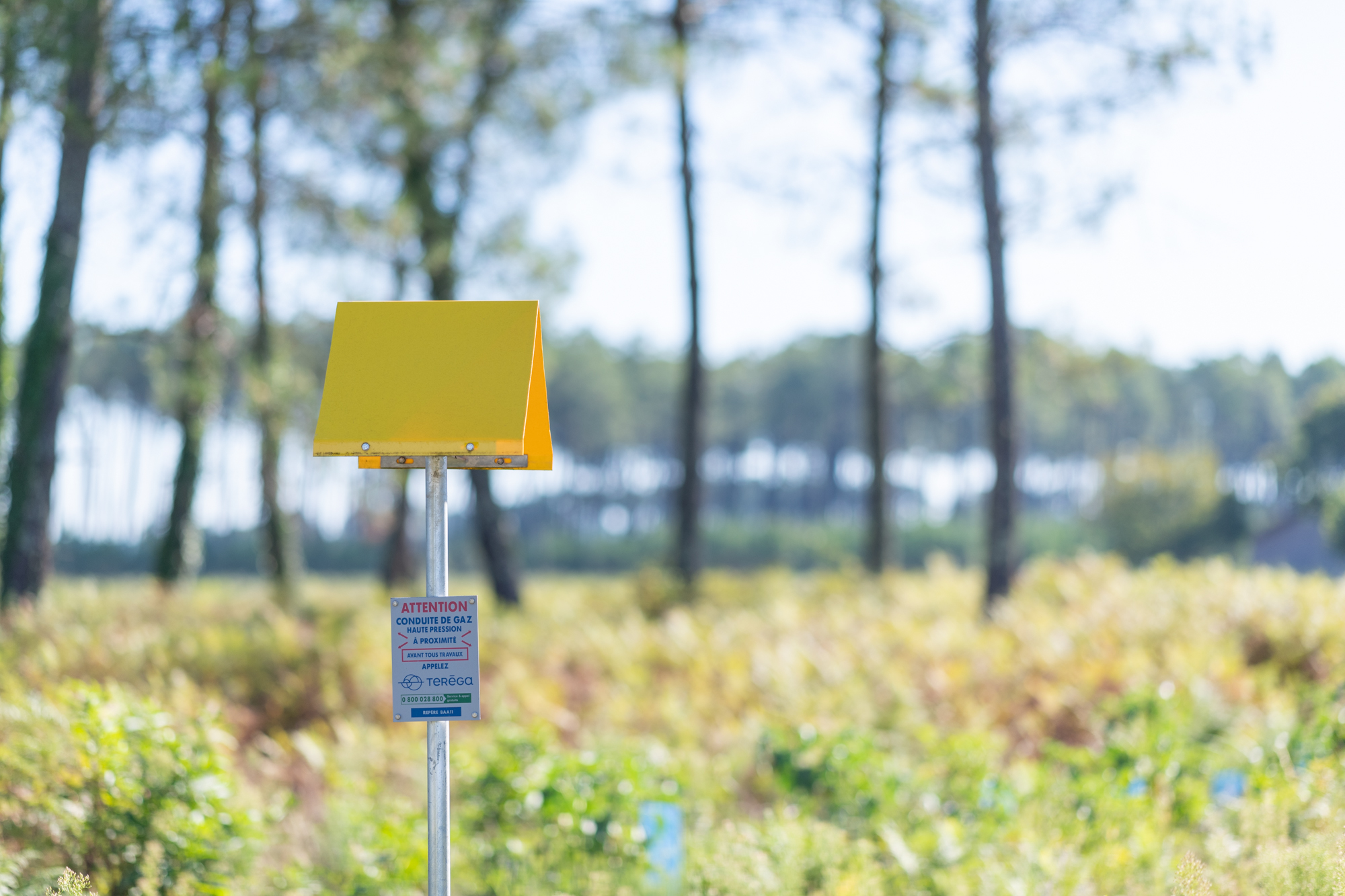 Detecting and preventing undeclared work: Out in the field, working for everyone’s safety