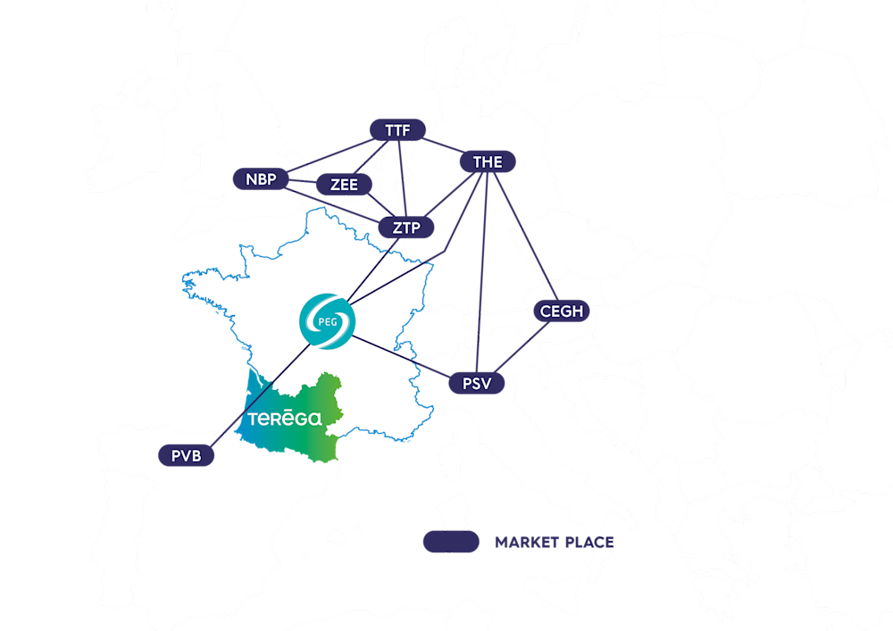 Terega network for shippers