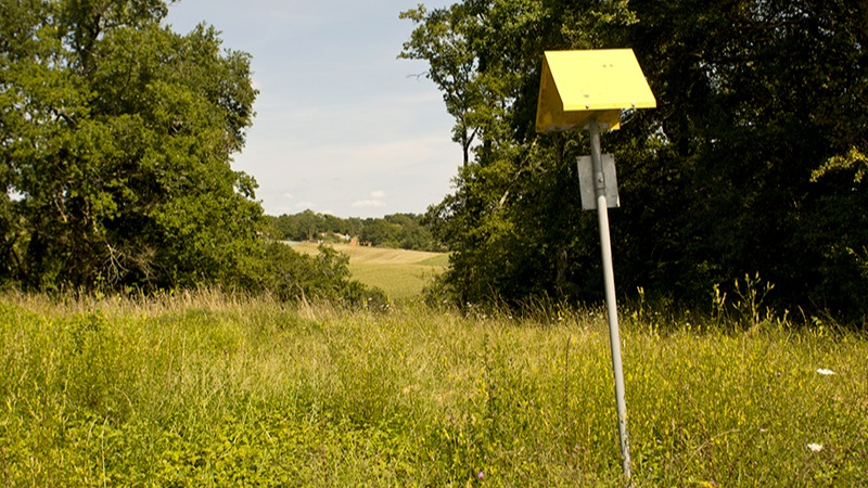 Une nouvelle canalisation de gaz entre Capens et Pamiers