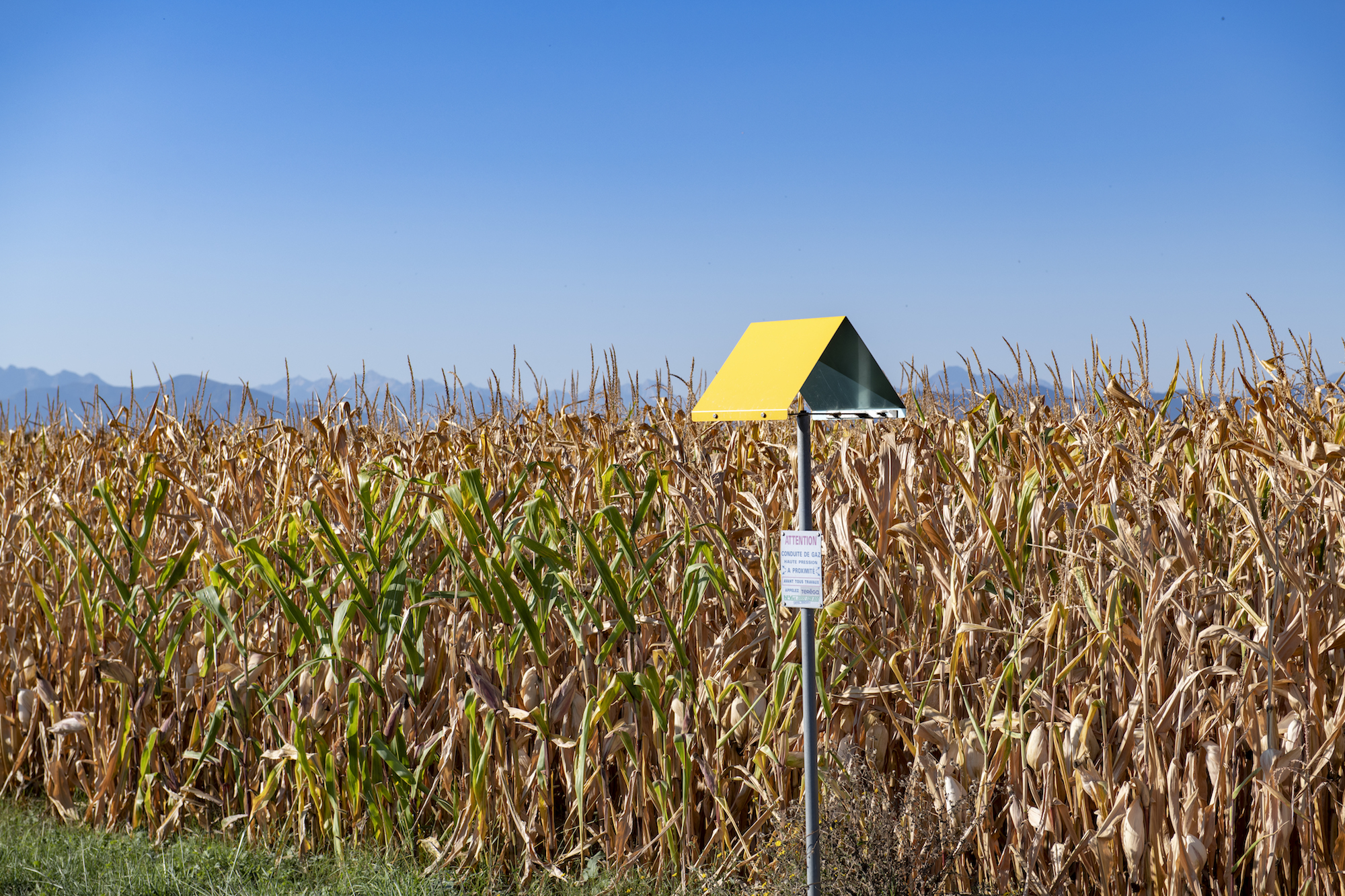 A gas industry committed to reducing methane emissions