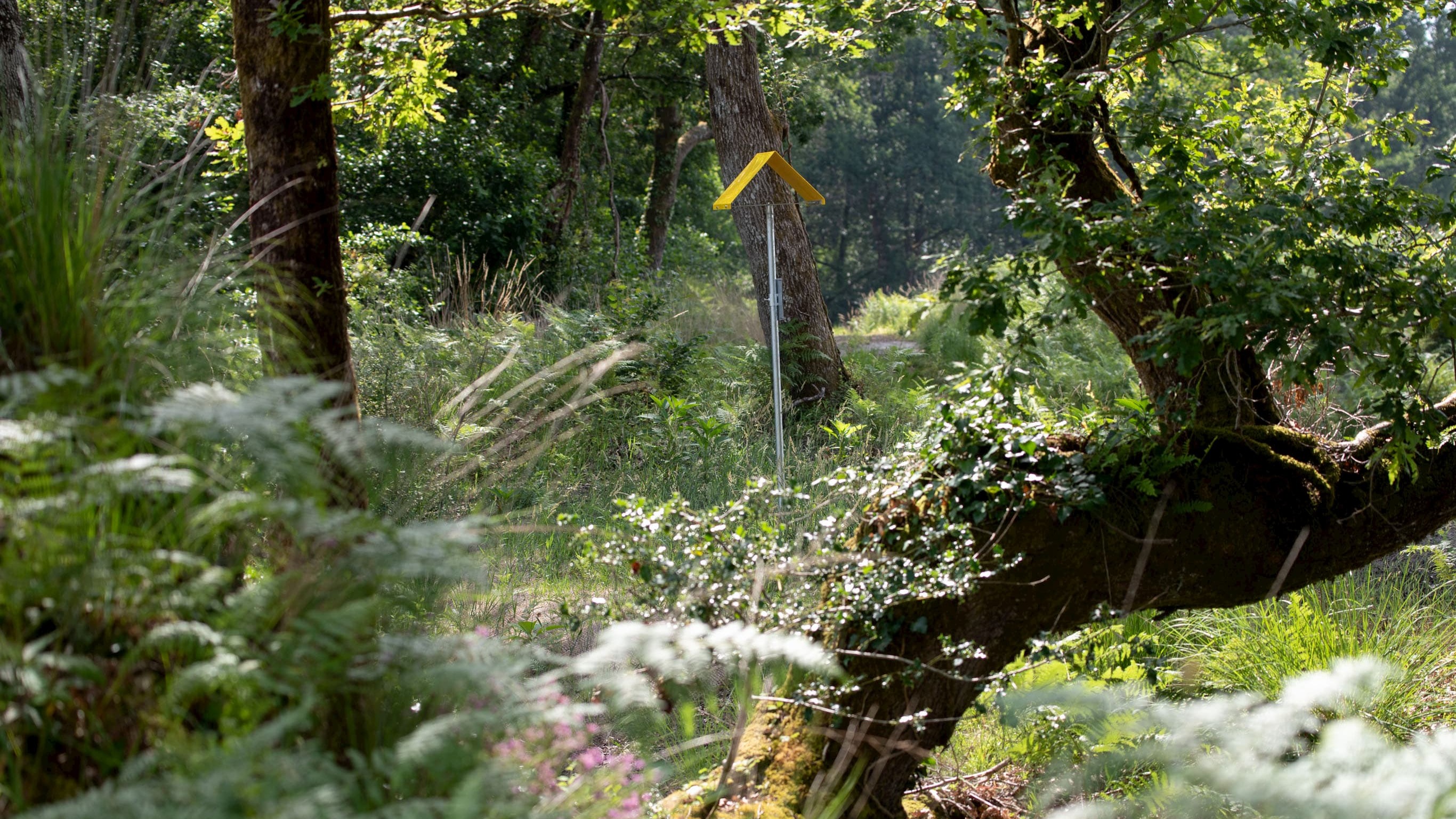 Easement above a Teréga gas pipeline