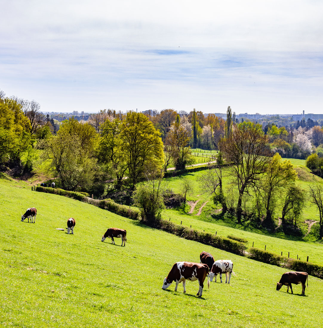 Grand hero offre accompagnement