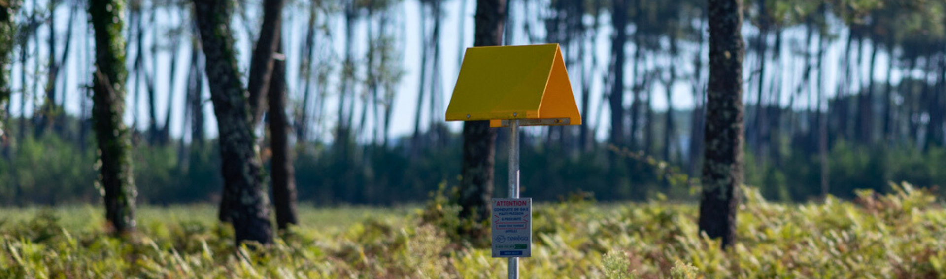 Teréga: A new first for the Group, with the conversion of a natural gas pipeline to hydrogen in Ambès (Gironde) 