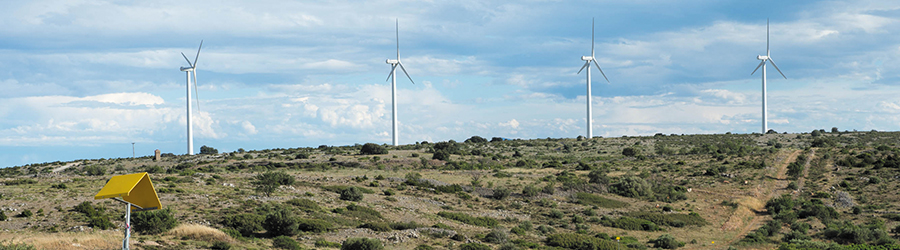 Teréga, accélérateur du déploiement de l’hydrogène décarboné