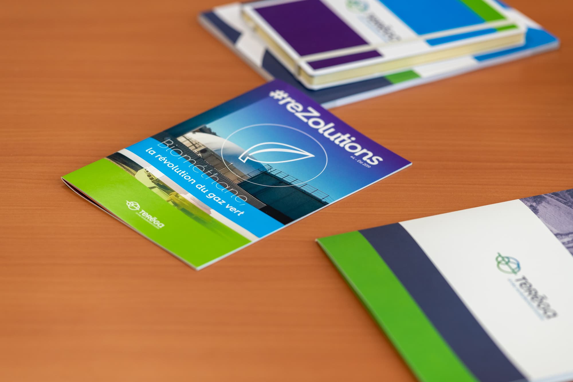 Teréga’s institutional publications 