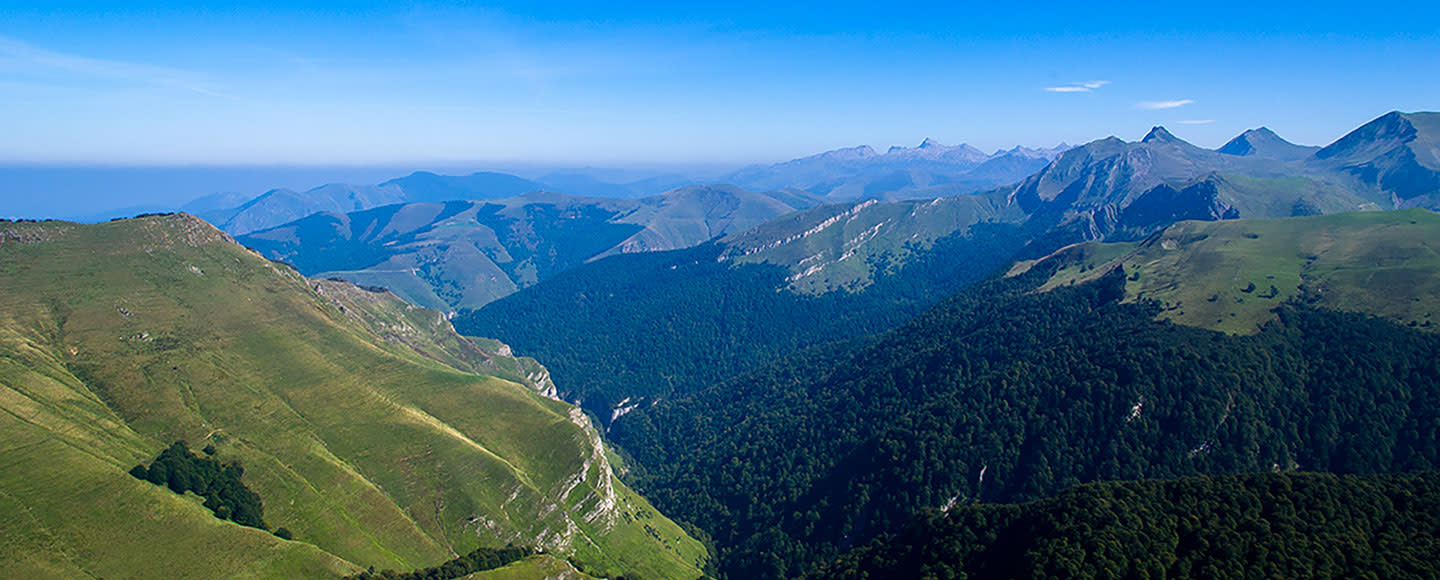 Teréga - MAKE GAS AN ACCELERATOR FUTURE