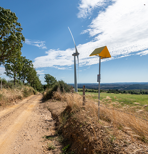 Territoire Transport Rodez