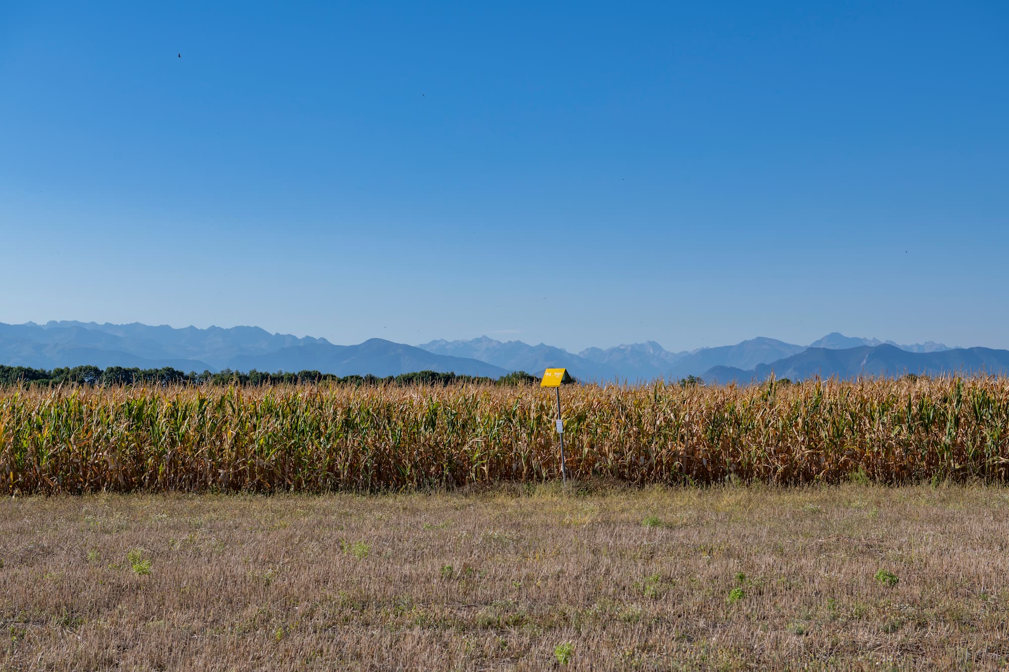 Pour Teréga, gérer l’impact environnemental de ses activités est une priorité
